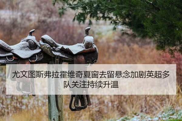 尤文图斯弗拉霍维奇夏窗去留悬念加剧英超多队关注持续升温